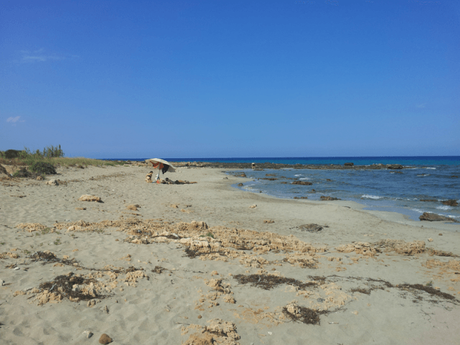 Riserva Naturale di Vendicari: rigenerarsi nella la natura della Sicilia