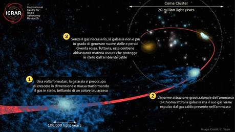Le ‘sopravvissute’ all’ammasso di Chioma