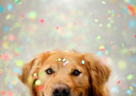 Ansie e paure da viaggio o espatrio? Ecco alcuni consigli, dritte e informazioni che potranno esservi di aiuto!