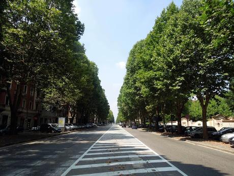 I platani di corso Francia