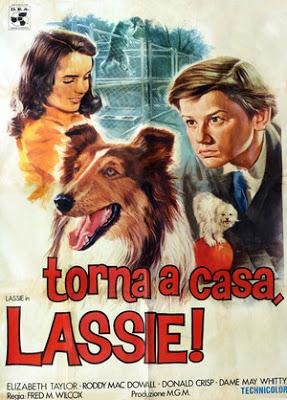 TORNA A CASA, LASSIE!