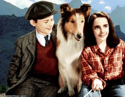 TORNA A CASA, LASSIE!