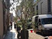 PAVIA. nuovo outfit corso Carlo Alberto video)