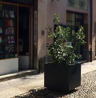 PAVIA. Il nuovo outfit di corso Carlo Alberto (+ video)