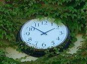 Giardino delle Cento Rose: romantico arcobaleno profumi colori