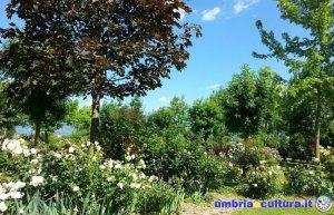 giardino cento rose1