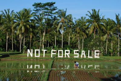 Arte Contemporanea in Indonesia di Naima Morelli