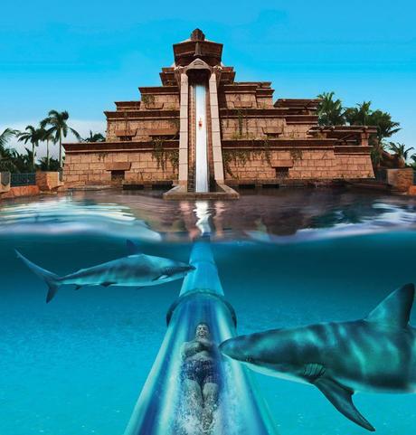 Hotel Atlantis The Palm – Viaggio di nozze a Dubai