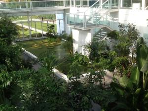 orto botanico di Padova