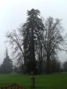 fondazione Magnani Rocca