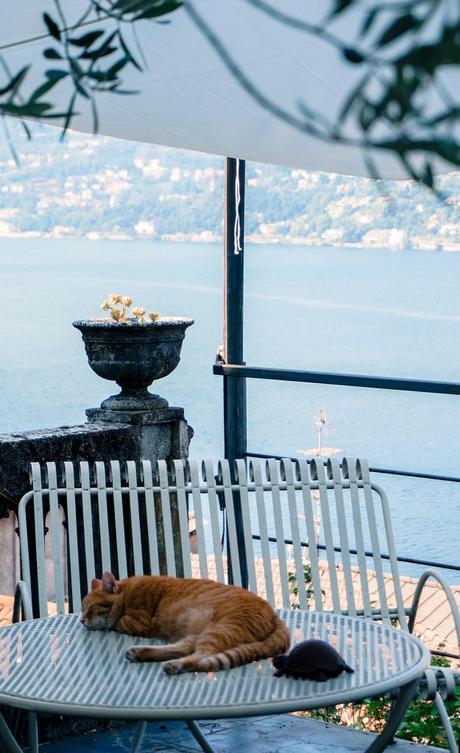 blossom zine blog DMAIL.it-11