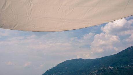 blossom zine blog DMAIL.it-13