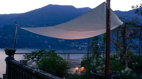 blossom zine blog DMAIL.it-7