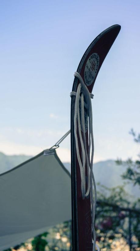 blossom zine blog DMAIL.it-9