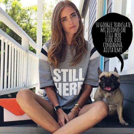 Cosa pensa veramente il cane di Chiara Ferragni