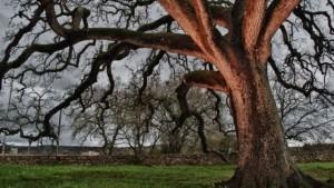 161838824-a610cc57-0797-4988-a3b8-15a09aade00d