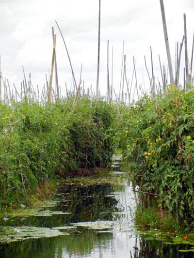 Inle Lake_birmania_viaggiandovaldi