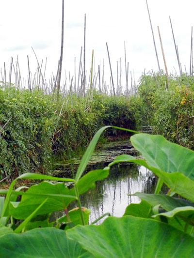 Inle Lake_birmania_viaggiandovaldi