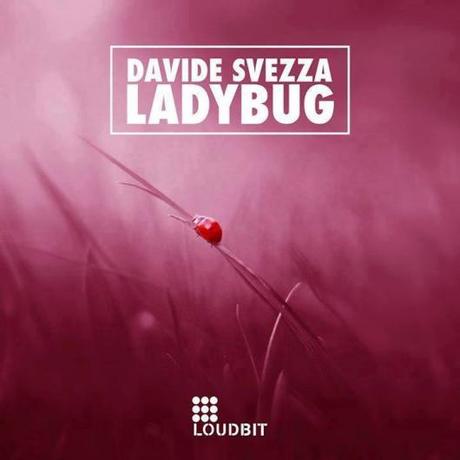 Davide Svezza - Ladybug - 26/07/15 Loudbit