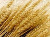 Quando bene eliminare glutine