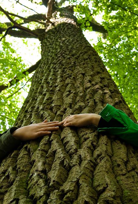 giochi-naturali-ecologici