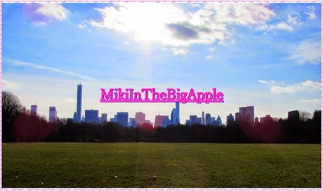 Miki In The Big Apple #5: 4 Gennaio, Washington