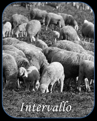 For those about to blog...