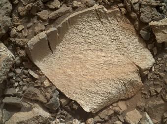 Un frammento di roccia ribattezzato “Lamoose”, di circa 10 cm, ripreso dalla camera MAHLI del rover Curiosity l’11 luglio 2015. Come la vicina roccia “Elk”, possiede un’inaspettatamente alta concentrazione di silice. Crediti: NASA/JPL-Caltech/MSSS