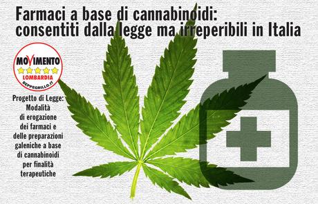 cannabis