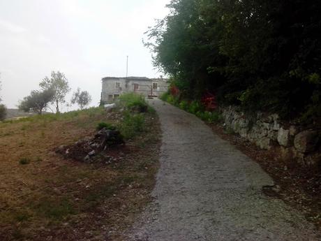 Un Fibi & un Buffo alla mattina..