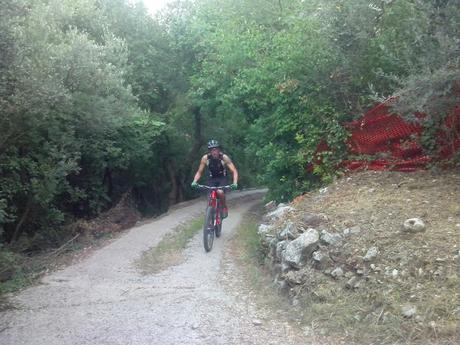 Un Fibi & un Buffo alla mattina..