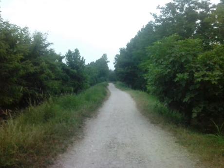 Un Fibi & un Buffo alla mattina..