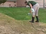 caldissimo, prato secca quindi dipingo verde nuovi lavori crescono