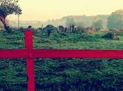 WHITE BIRCH, Weight Spring