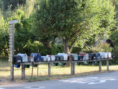 Verso nord, ovvero: la California bizzarra, la sola che mi piace