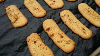 Biscotti simil Pavesini allo zucchero di canna integrale