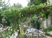 giardino estate: pergolati piante rampicanti Houzz)