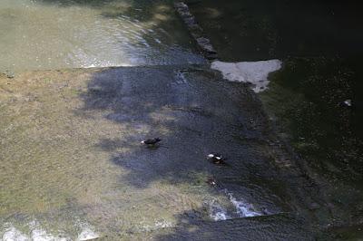 il viaggio elettrico continua, da Trescore Cremasco a Turano Lodigiano