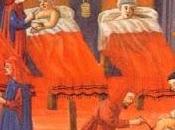 Erbe cure nella medicina Medioevo europeo