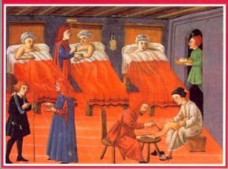 Erbe e cure nella medicina del Medioevo europeo