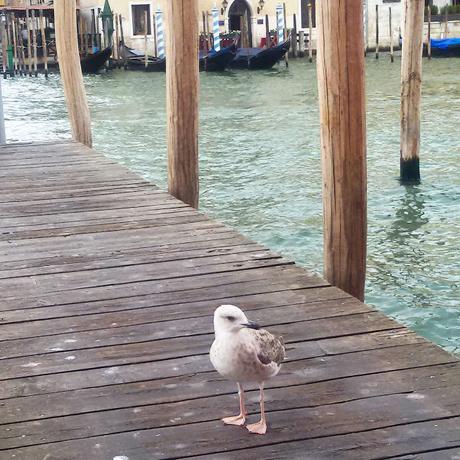 In giro a Venezia