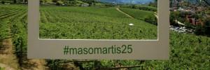 Maso Martis: TRENTO da 25 anni Maso Martis: TRENTO da 25 anni