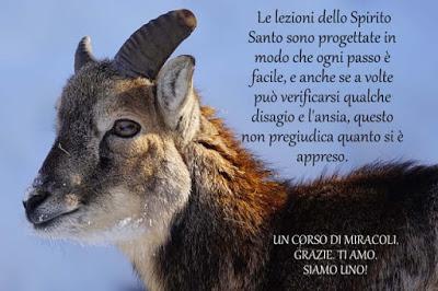 Tu hai fabbricato un concetto di te stesso che non ha alcuna somiglianza con te. Parte 4.