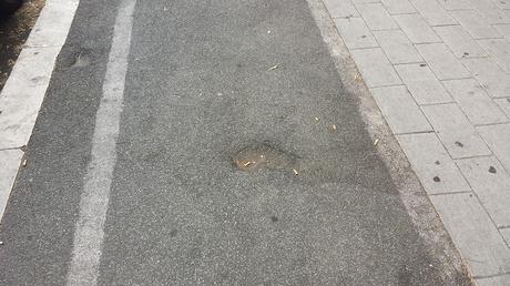 Disastro a Furio Camillo. Dopo i brutti fatti nella stazione Metro nulla è cambiato, nulla è migliorato