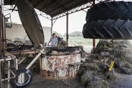 smilingischic, Provenza: alla ricerca della lavanda perduta , distilleria 