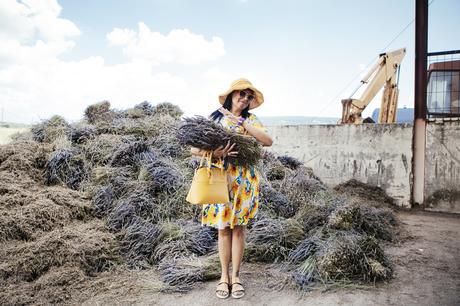 smilingischic, Provenza: alla ricerca della lavanda perduta , Sandra Bacci, abito con i girasoli