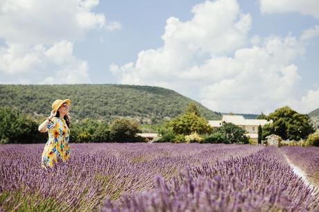 Provenza: alla ricerca della lavanda perduta, Sandra Bacci, abito con girasoli, campi di lavanda in fiore 