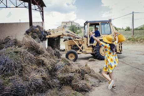 smilingischic, Provenza: alla ricerca della lavanda perduta , Sandra Bacci, abito con i girasoli