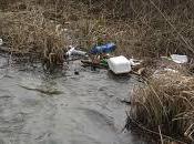 VIGEVANO (pv). volontari domenica puliranno costa fiume.