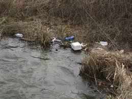 VIGEVANO (pv). I volontari del M5S domenica puliranno la costa del fiume.